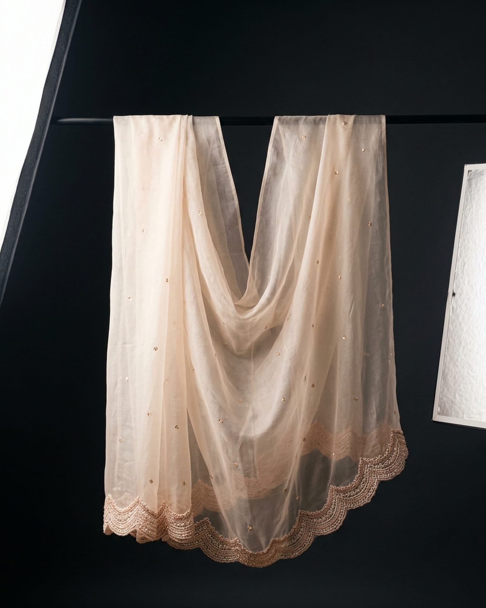 Sheer silk organza saree with scalloped cutdana and pearl border and sequin butis
